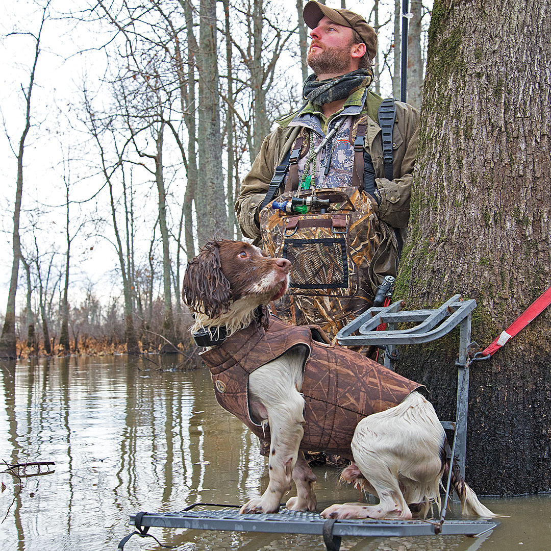 Golden retriever deals duck hunting